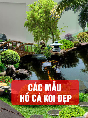 Cac mau ho ca koi