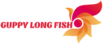 Guppy Long Fish diversionsdance